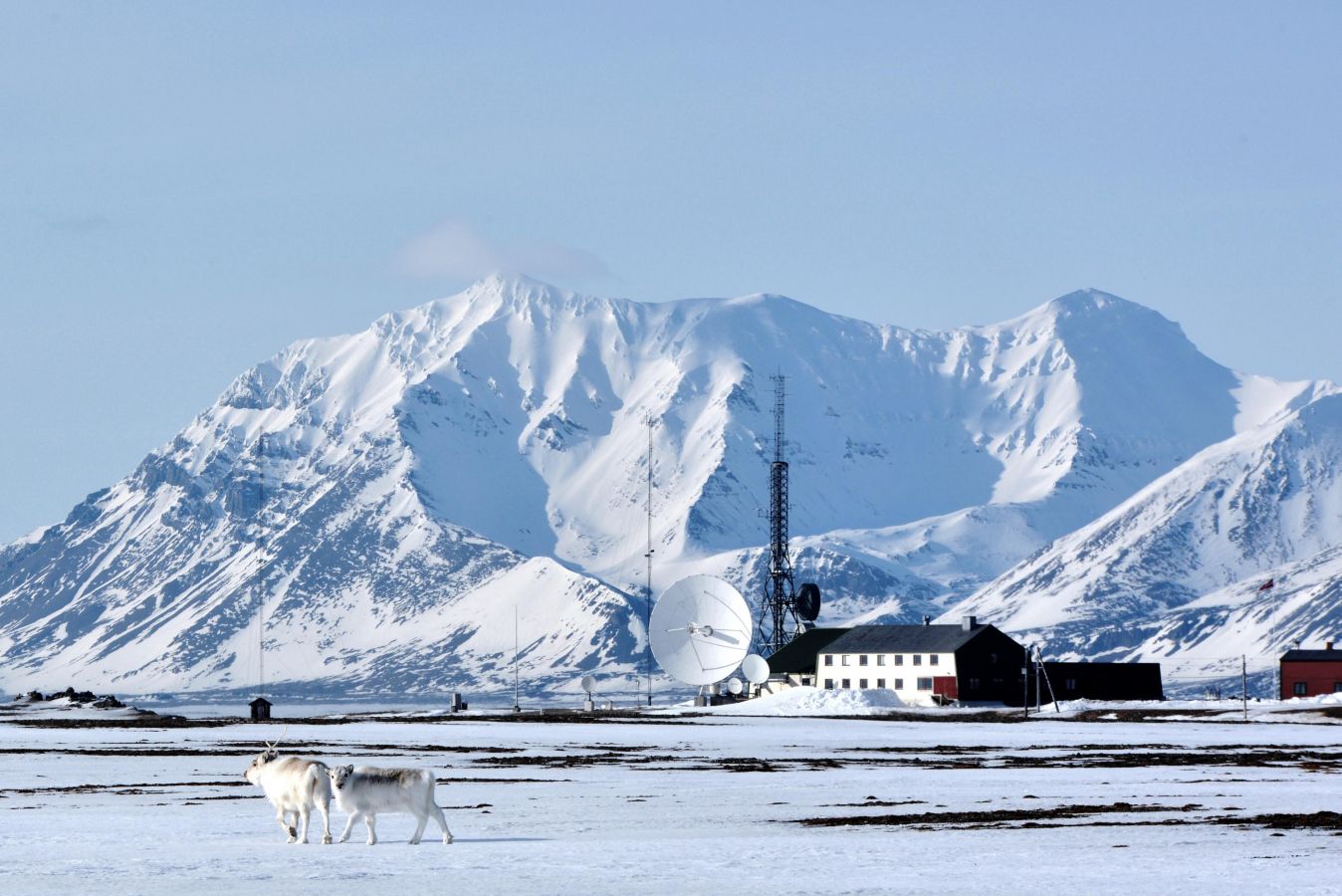 Special seminar on Spitsbergen